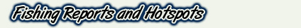 Fishing Reports and Hotspots
